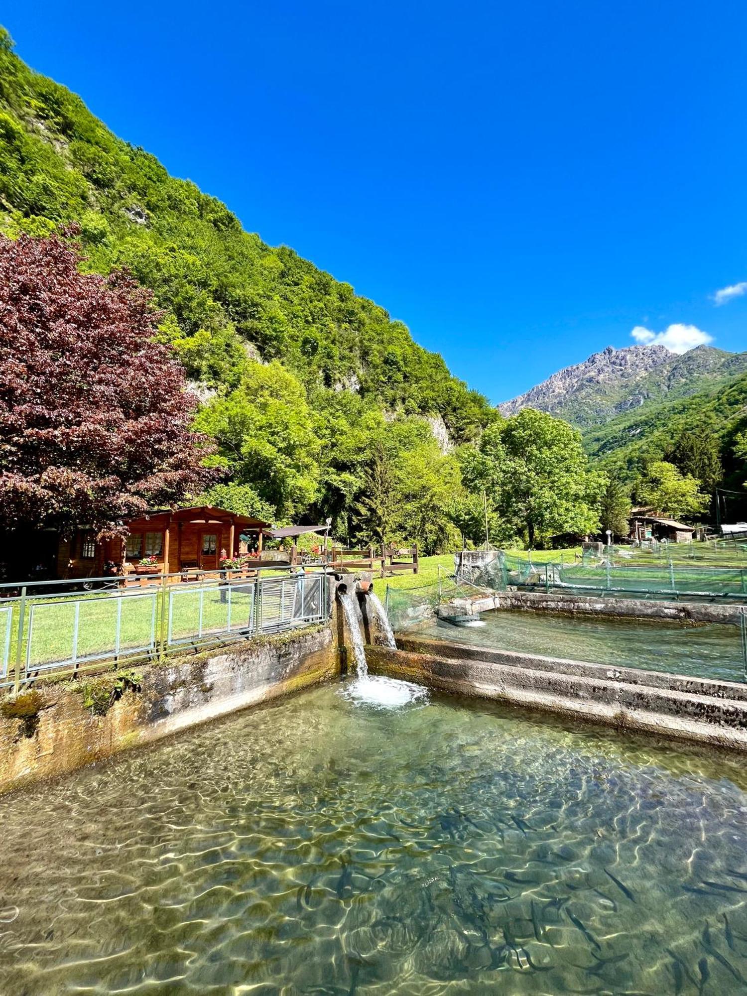 Agriturismo La Vecchia Chioderia Grandola ed Uniti Exteriér fotografie