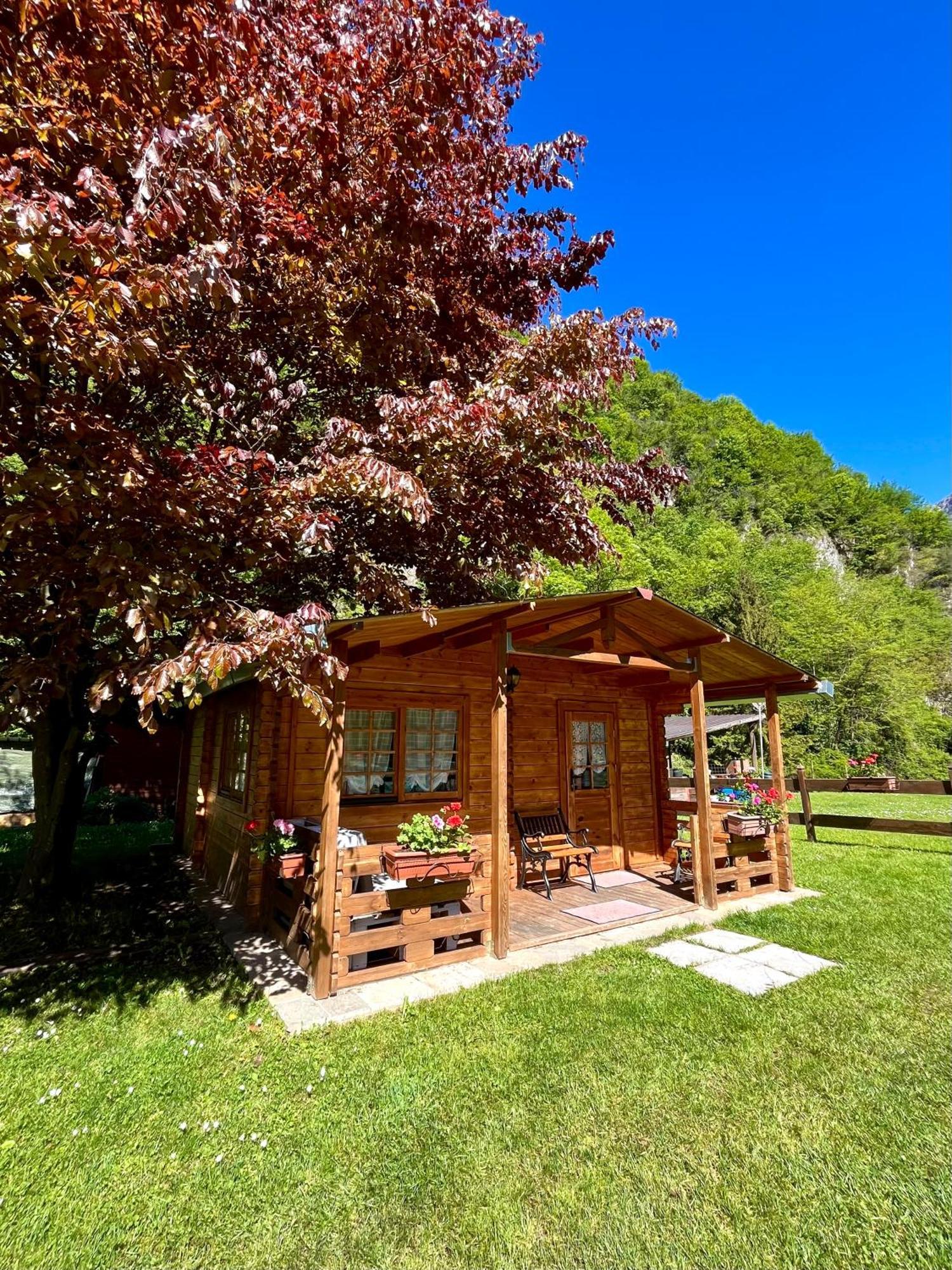 Agriturismo La Vecchia Chioderia Grandola ed Uniti Exteriér fotografie