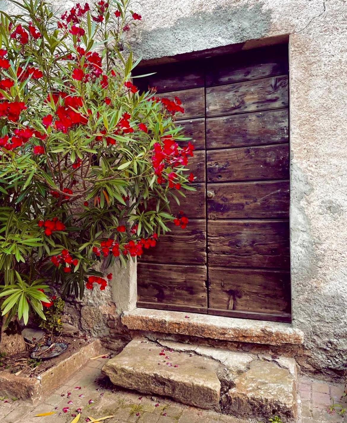 Agriturismo La Vecchia Chioderia Grandola ed Uniti Exteriér fotografie