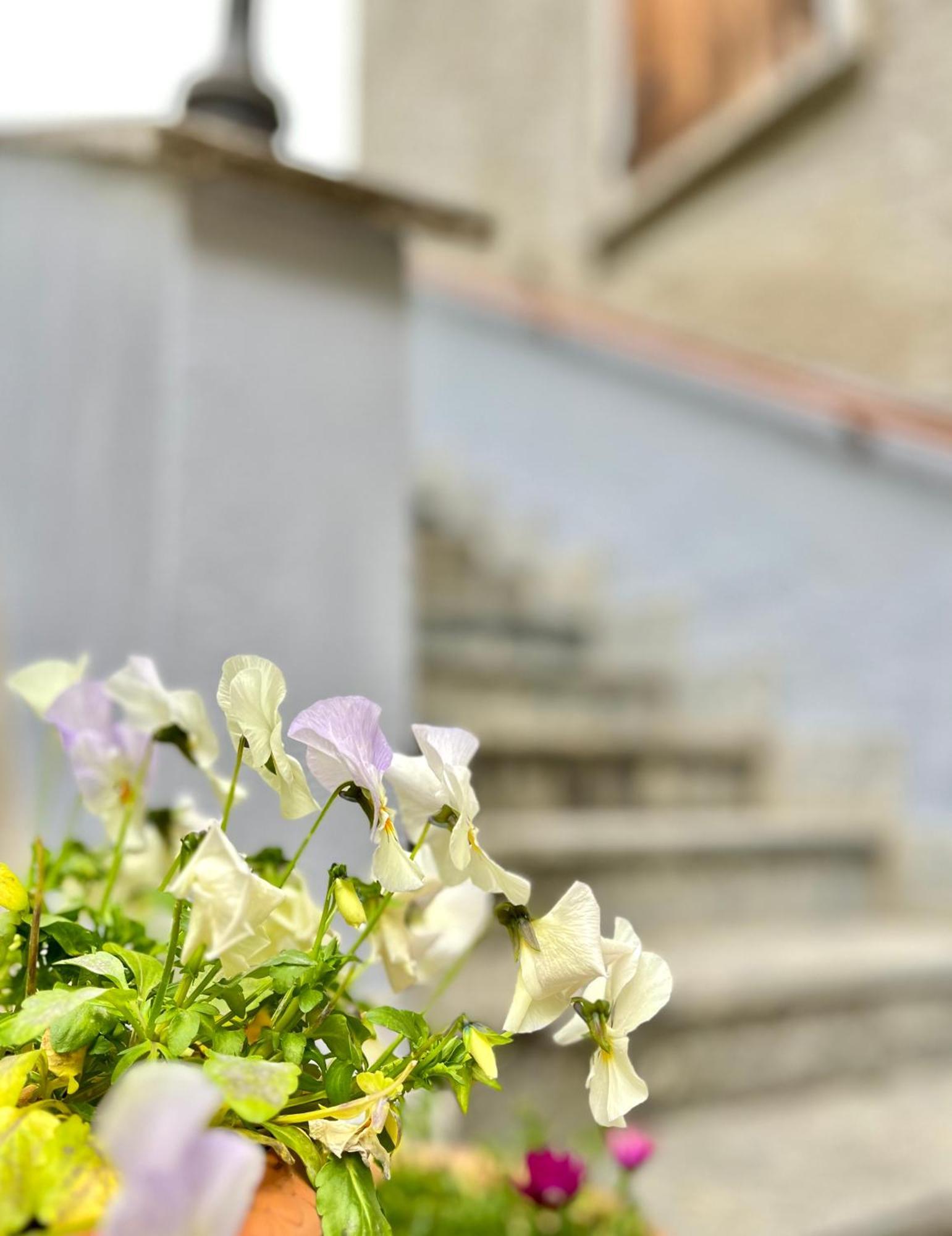 Agriturismo La Vecchia Chioderia Grandola ed Uniti Exteriér fotografie