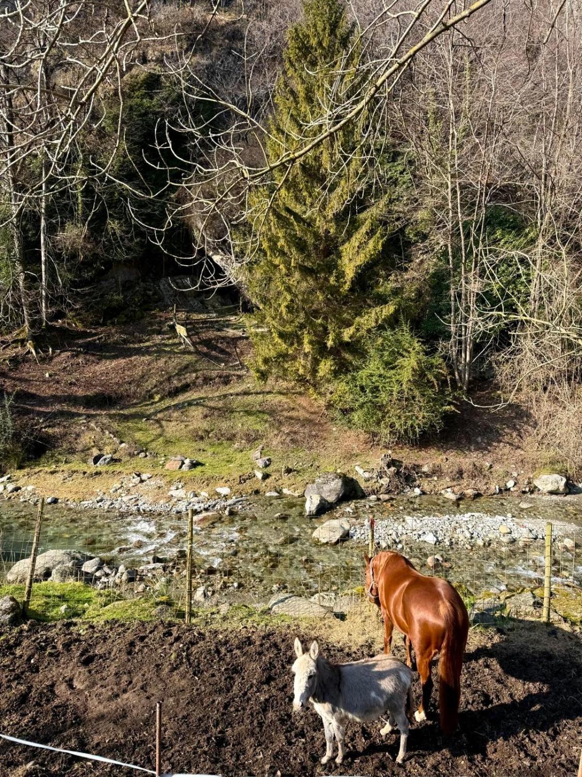 Agriturismo La Vecchia Chioderia Grandola ed Uniti Exteriér fotografie