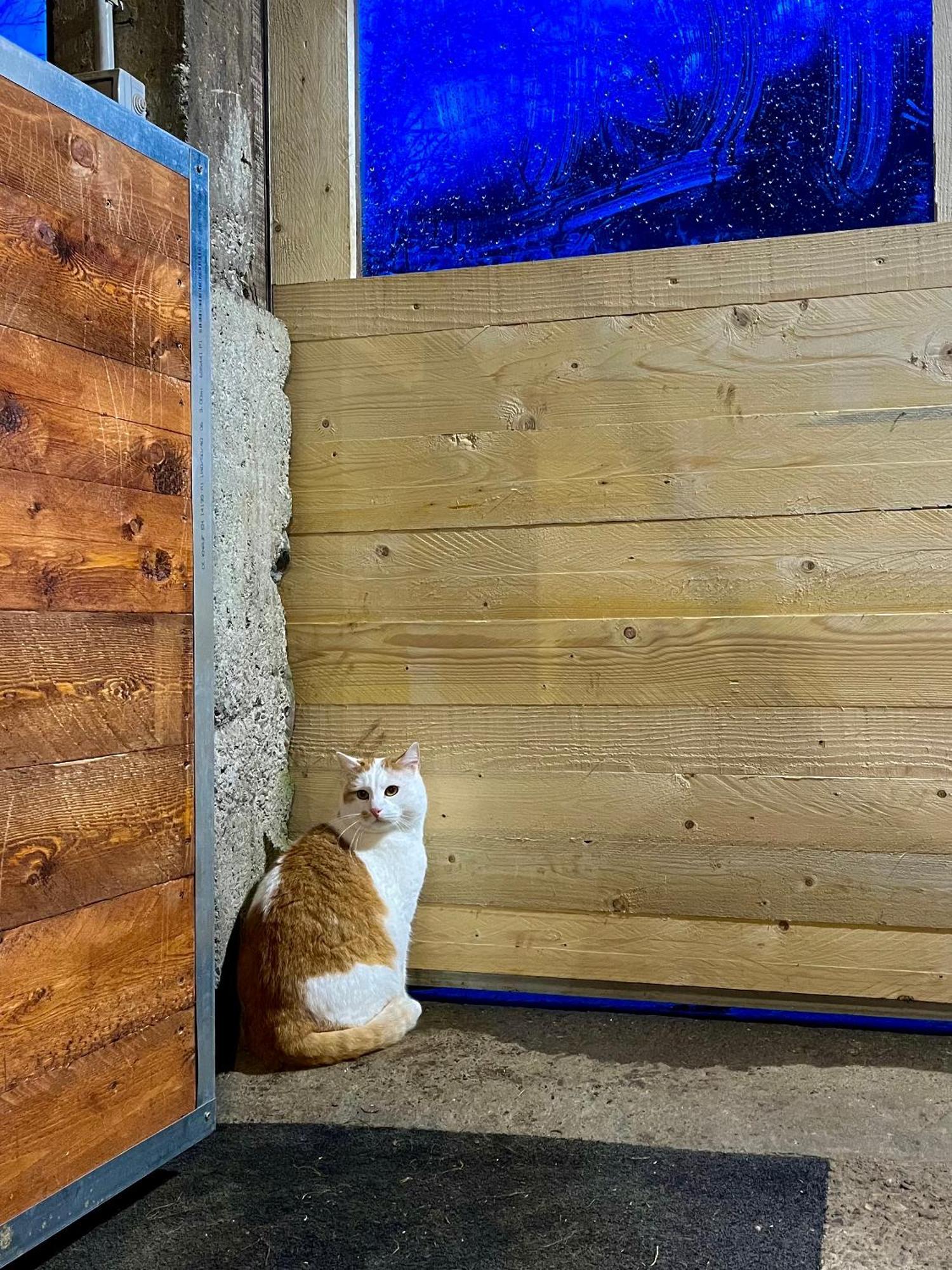 Agriturismo La Vecchia Chioderia Grandola ed Uniti Exteriér fotografie