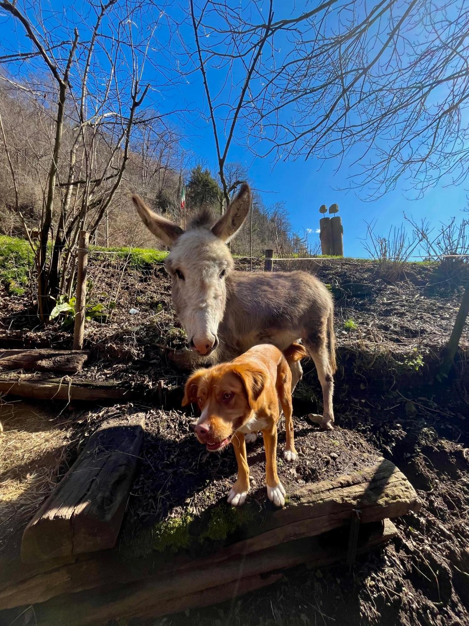 Agriturismo La Vecchia Chioderia Grandola ed Uniti Exteriér fotografie