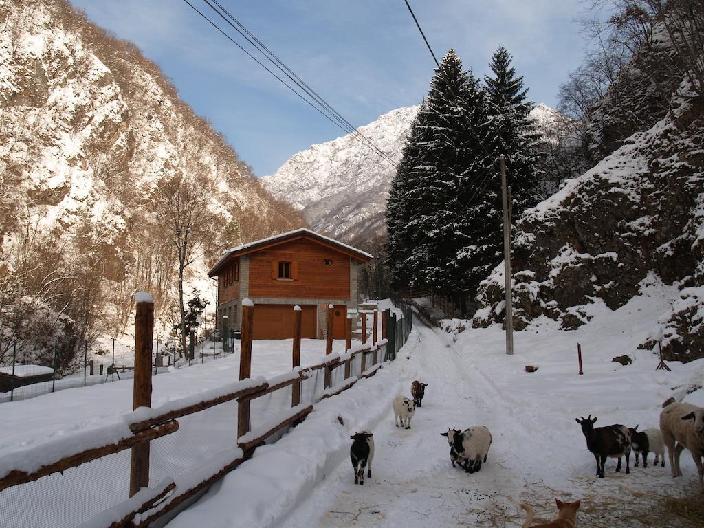 Agriturismo La Vecchia Chioderia Grandola ed Uniti Exteriér fotografie