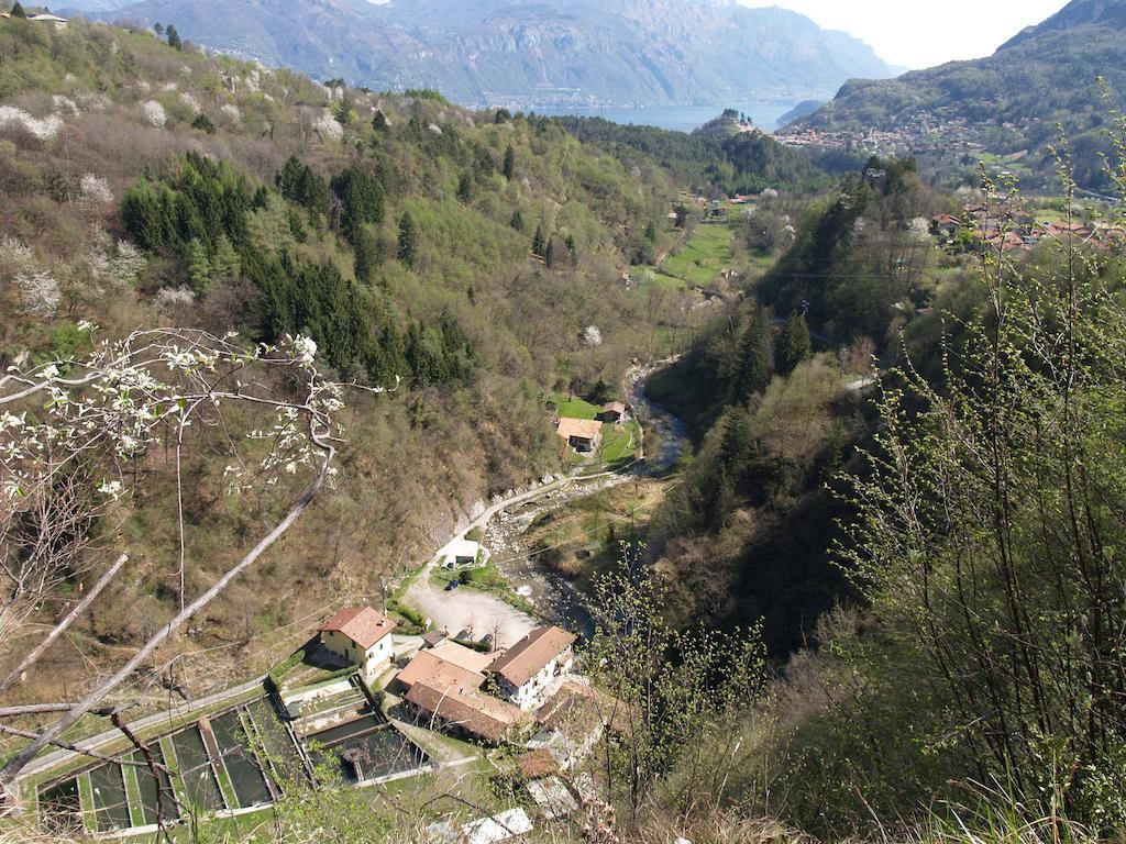 Agriturismo La Vecchia Chioderia Grandola ed Uniti Exteriér fotografie