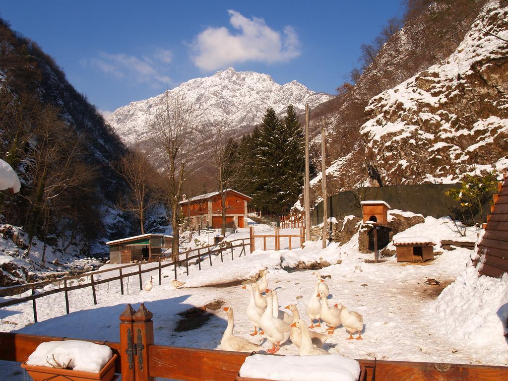 Agriturismo La Vecchia Chioderia Grandola ed Uniti Exteriér fotografie
